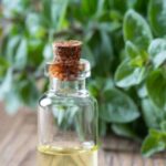 Oil of Oregano: A Natural Remedy for Respiratory Health